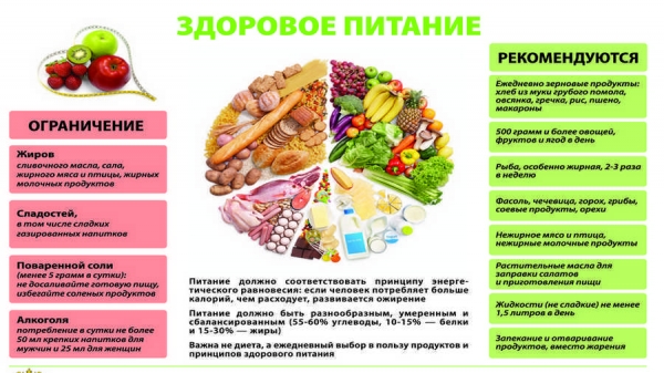 Правильное питание: диета, меню и рецепты