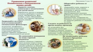 ПАМЯТКА ДЛЯ РОДИТЕЛЕЙ «ДЕТСКИЙ ТРАВМАТИЗМ В ЛЕТНИЙ ПЕРИОД»