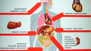 Пагубное влияние алкоголя на организм человека