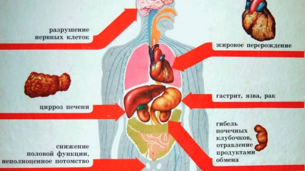 Пространство радости своими руками