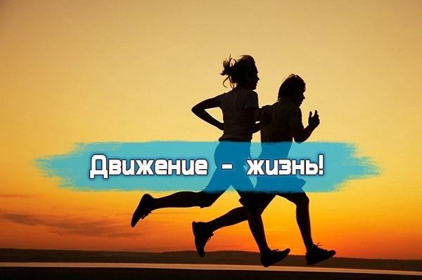 Движение - это жизнь!
