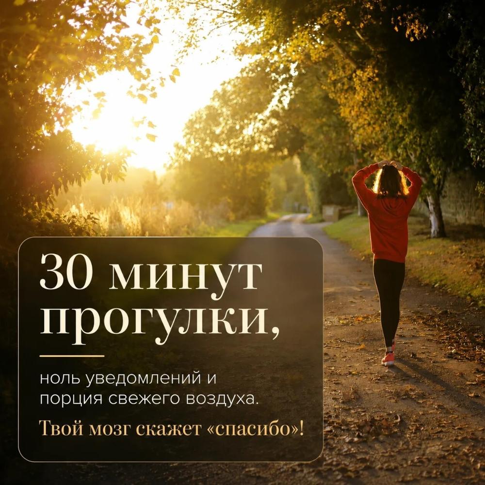 Почему прогулки на свежем воздухе — лучший способ перезагрузиться?